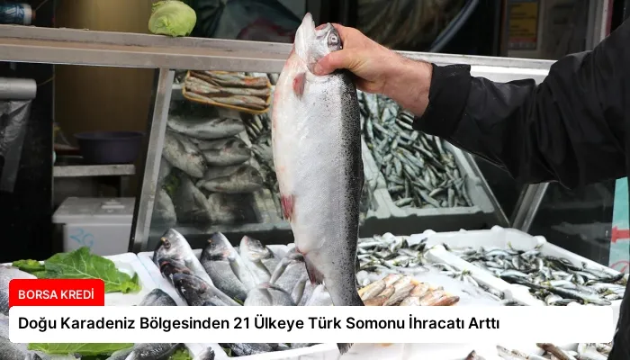 Doğu Karadeniz Bölgesinden 21 Ülkeye Türk Somonu İhracatı Arttı
