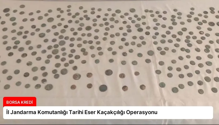 İl Jandarma Komutanlığı Tarihi Eser Kaçakçılığı Operasyonu