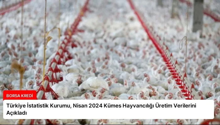 Türkiye İstatistik Kurumu, Nisan 2024 Kümes Hayvancılığı Üretim Verilerini Açıkladı