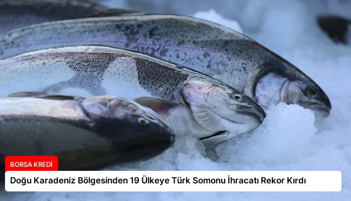 Doğu Karadeniz Bölgesinden 19 Ülkeye Türk Somonu İhracatı Rekor Kırdı