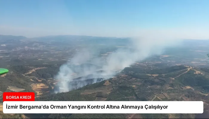 İzmir Bergama’da Orman Yangını Kontrol Altına Alınmaya Çalışılıyor