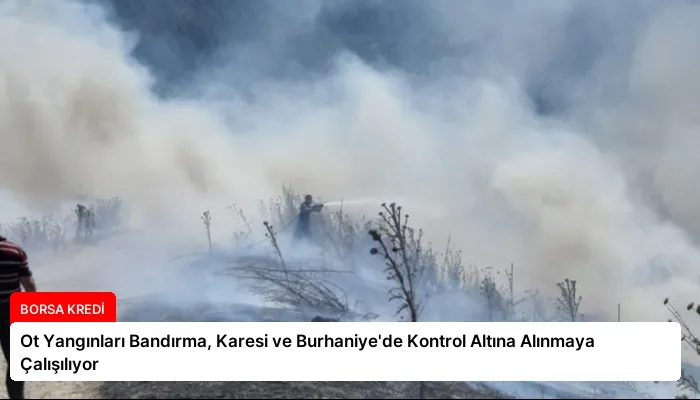 Ot Yangınları Bandırma, Karesi ve Burhaniye’de Kontrol Altına Alınmaya Çalışılıyor