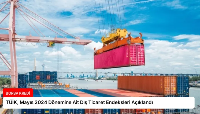TÜİK, Mayıs 2024 Dönemine Ait Dış Ticaret Endeksleri Açıklandı