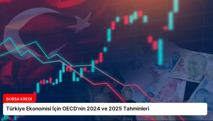 Türkiye Ekonomisi İçin OECD’nin 2024 ve 2025 Tahminleri