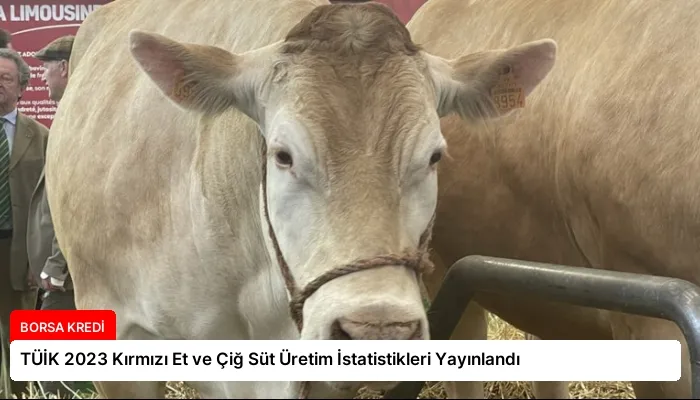 TÜİK 2023 Kırmızı Et ve Çiğ Süt Üretim İstatistikleri Yayınlandı