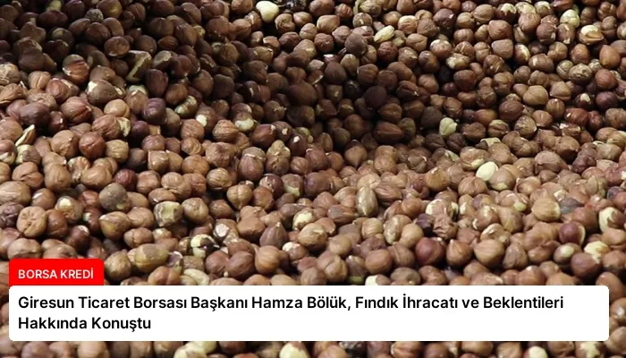 Giresun Ticaret Borsası Başkanı Hamza Bölük, Fındık İhracatı ve Beklentileri Hakkında Konuştu