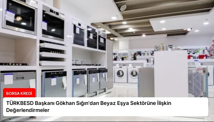 TÜRKBESD Başkanı Gökhan Sığın’dan Beyaz Eşya Sektörüne İlişkin Değerlendirmeler