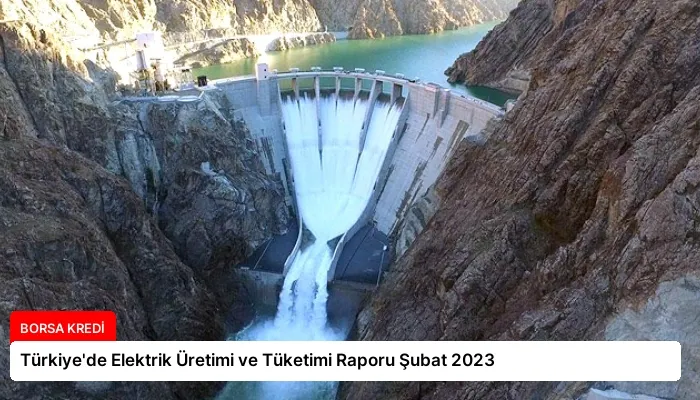 Türkiye’de Elektrik Üretimi ve Tüketimi Raporu Şubat 2023