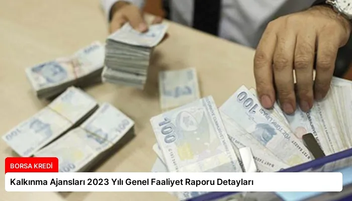 Kalkınma Ajansları 2023 Yılı Genel Faaliyet Raporu Detayları