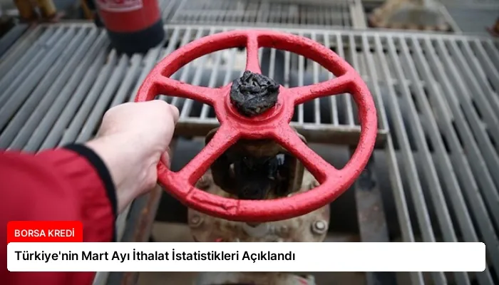 Türkiye’nin Mart Ayı İthalat İstatistikleri Açıklandı