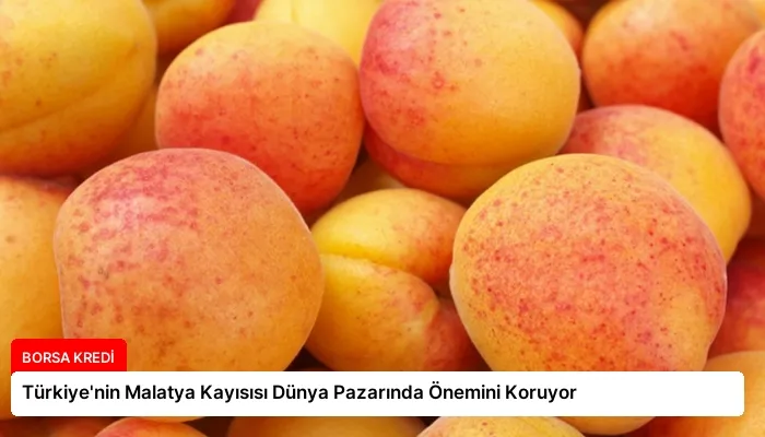 Türkiye’nin Malatya Kayısısı Dünya Pazarında Önemini Koruyor