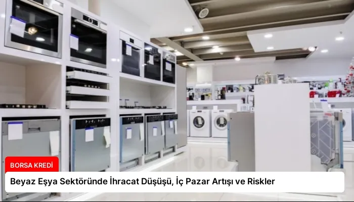 Beyaz Eşya Sektöründe İhracat Düşüşü, İç Pazar Artışı ve Riskler