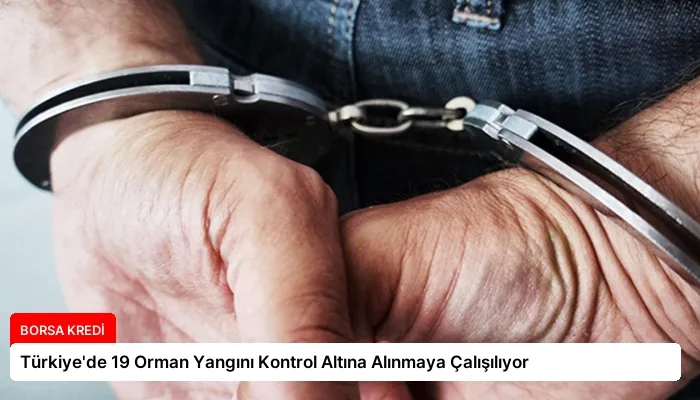 Türkiye’de 19 Orman Yangını Kontrol Altına Alınmaya Çalışılıyor