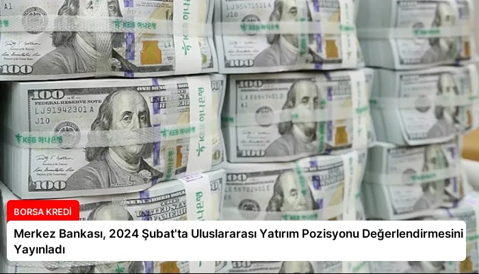 Merkez Bankası, 2024 Şubat’ta Uluslararası Yatırım Pozisyonu Değerlendirmesini Yayınladı