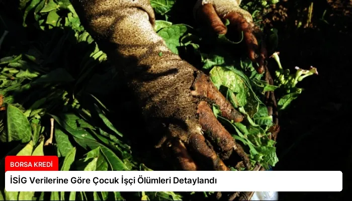 İSİG Verilerine Göre Çocuk İşçi Ölümleri Detaylandı