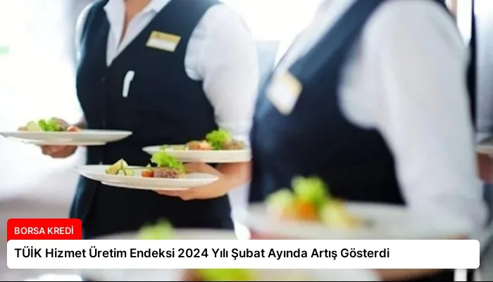 TÜİK Hizmet Üretim Endeksi 2024 Yılı Şubat Ayında Artış Gösterdi
