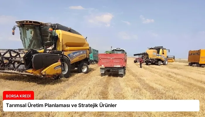 Tarımsal Üretim Planlaması ve Stratejik Ürünler