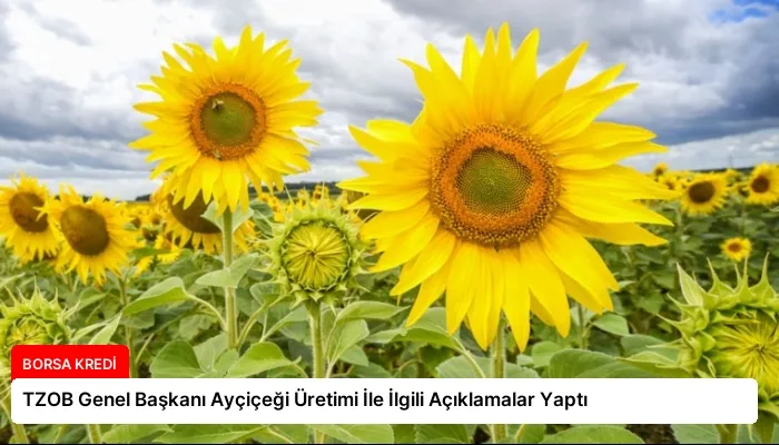 TZOB Genel Başkanı Ayçiçeği Üretimi İle İlgili Açıklamalar Yaptı