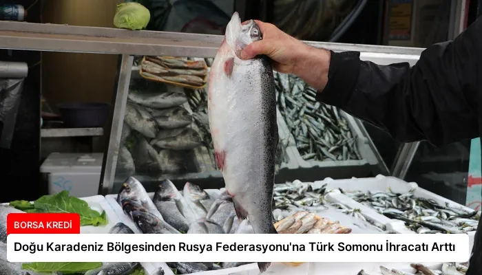 Doğu Karadeniz Bölgesinden Rusya Federasyonu’na Türk Somonu İhracatı Arttı