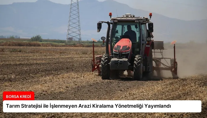 Tarım Stratejisi ile İşlenmeyen Arazi Kiralama Yönetmeliği Yayımlandı
