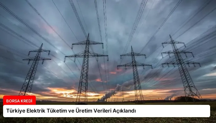 Türkiye Elektrik Tüketim ve Üretim Verileri Açıklandı