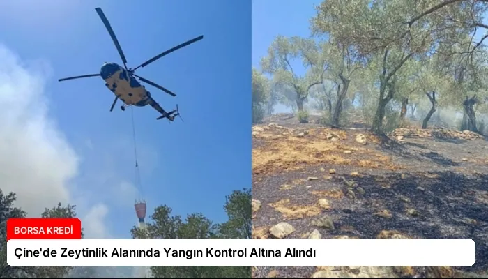Çine’de Zeytinlik Alanında Yangın Kontrol Altına Alındı