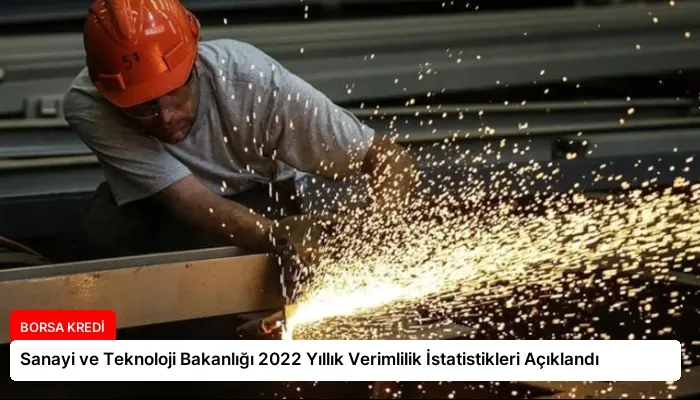 Sanayi ve Teknoloji Bakanlığı 2022 Yıllık Verimlilik İstatistikleri Açıklandı