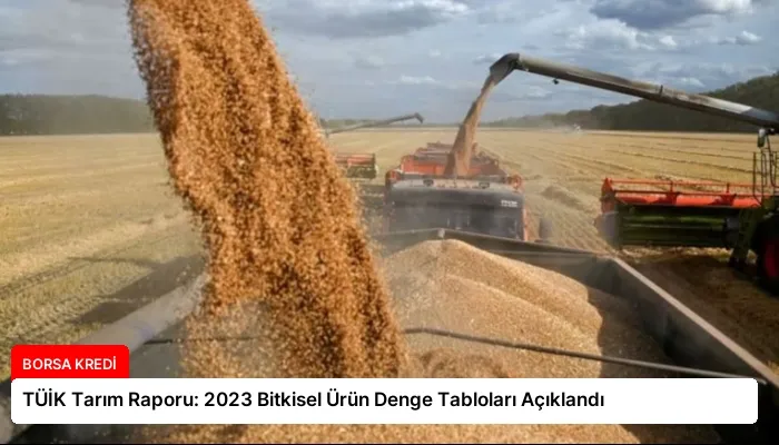 TÜİK Tarım Raporu: 2023 Bitkisel Ürün Denge Tabloları Açıklandı