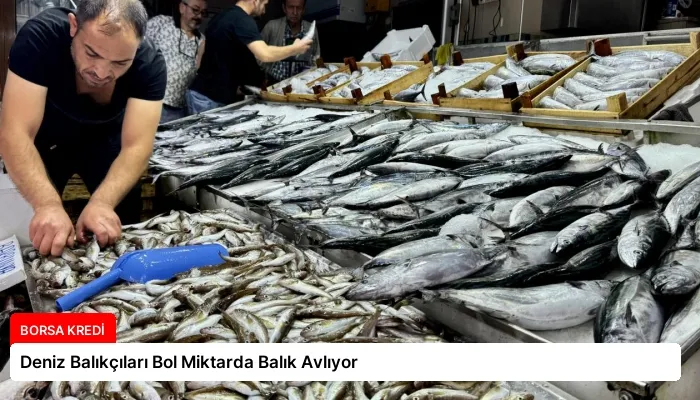 Deniz Balıkçıları Bol Miktarda Balık Avlıyor