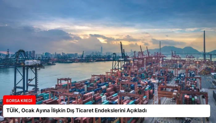 TÜİK, Ocak Ayına İlişkin Dış Ticaret Endekslerini Açıkladı