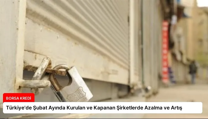 Türkiye’de Şubat Ayında Kurulan ve Kapanan Şirketlerde Azalma ve Artış