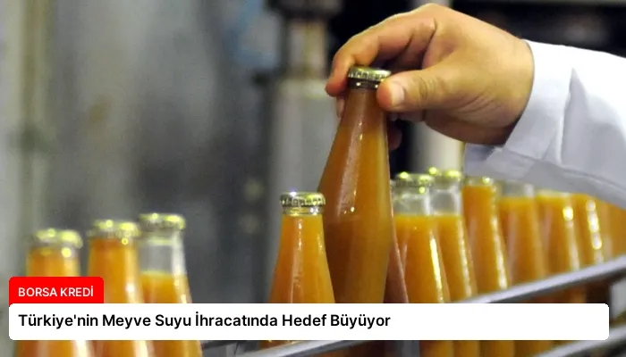 Türkiye’nin Meyve Suyu İhracatında Hedef Büyüyor