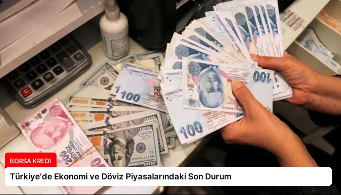 Türkiye’de Ekonomi ve Döviz Piyasalarındaki Son Durum
