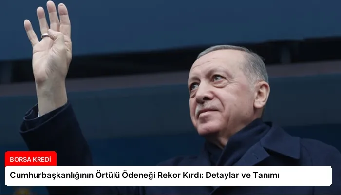 Cumhurbaşkanlığının Örtülü Ödeneği Rekor Kırdı: Detaylar ve Tanımı