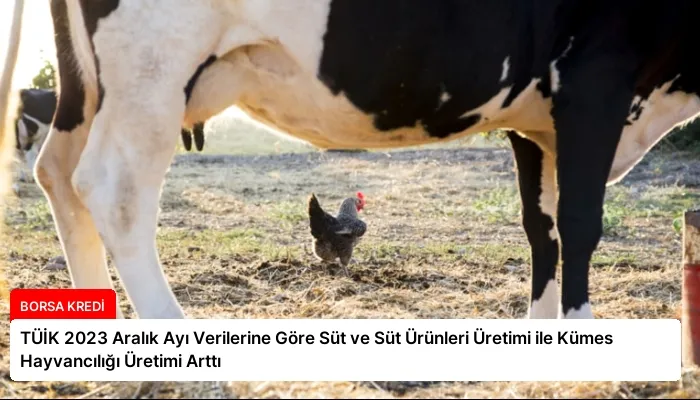 TÜİK 2023 Aralık Ayı Verilerine Göre Süt ve Süt Ürünleri Üretimi ile Kümes Hayvancılığı Üretimi Arttı