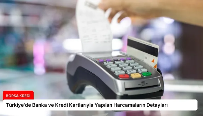 Türkiye’de Banka ve Kredi Kartlarıyla Yapılan Harcamaların Detayları