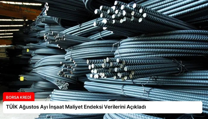 TÜİK Ağustos Ayı İnşaat Maliyet Endeksi Verilerini Açıkladı