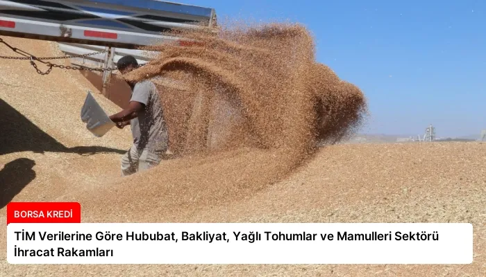 TİM Verilerine Göre Hububat, Bakliyat, Yağlı Tohumlar ve Mamulleri Sektörü İhracat Rakamları