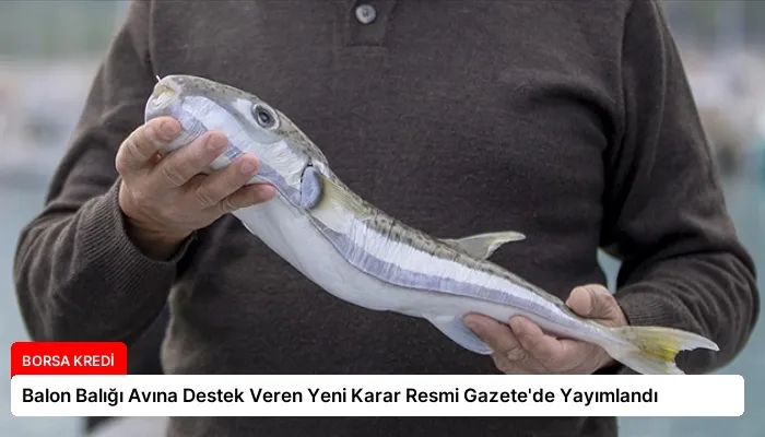Balon Balığı Avına Destek Veren Yeni Karar Resmi Gazete’de Yayımlandı