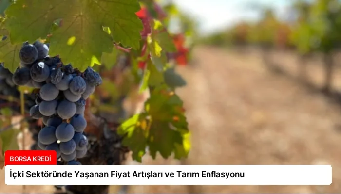 İçki Sektöründe Yaşanan Fiyat Artışları ve Tarım Enflasyonu