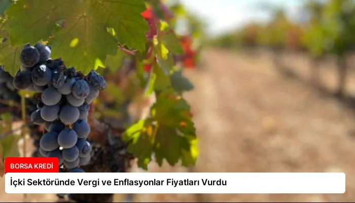 İçki Sektöründe Vergi ve Enflasyonlar Fiyatları Vurdu