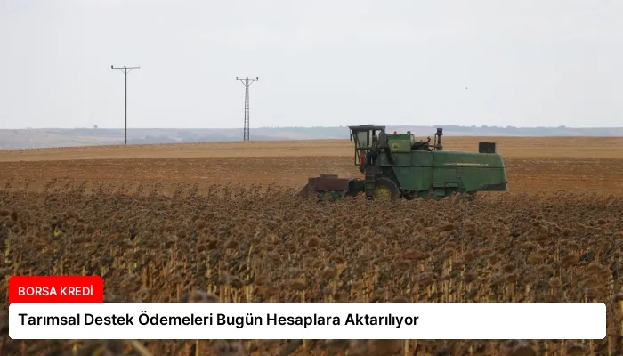 Tarımsal Destek Ödemeleri Bugün Hesaplara Aktarılıyor