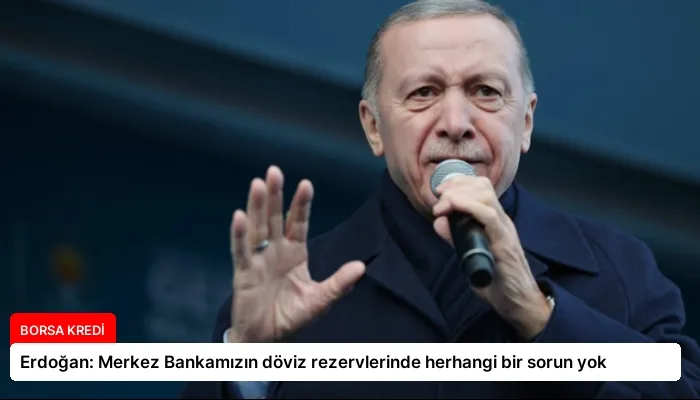 Erdoğan: Merkez Bankamızın döviz rezervlerinde herhangi bir sorun yok