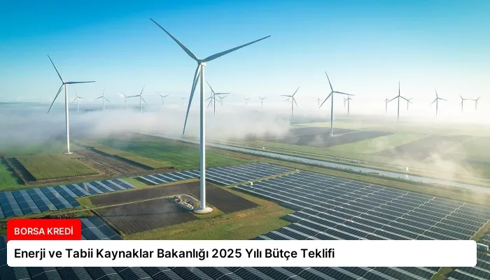 Enerji ve Tabii Kaynaklar Bakanlığı 2025 Yılı Bütçe Teklifi