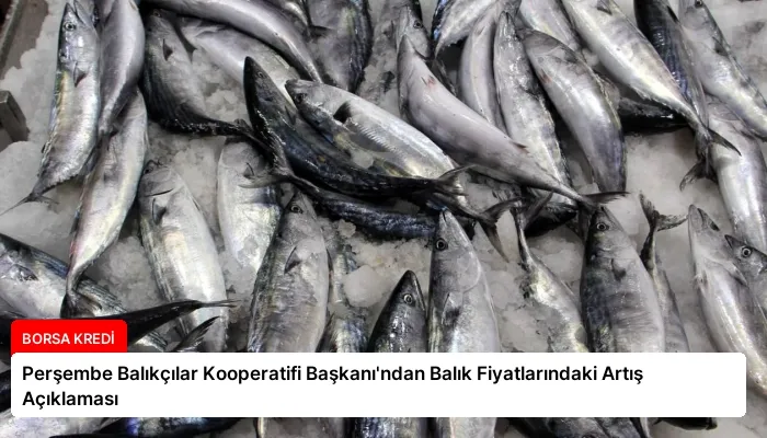 Perşembe Balıkçılar Kooperatifi Başkanı’ndan Balık Fiyatlarındaki Artış Açıklaması