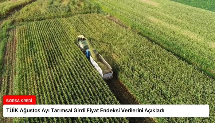 TÜİK Ağustos Ayı Tarımsal Girdi Fiyat Endeksi Verilerini Açıkladı