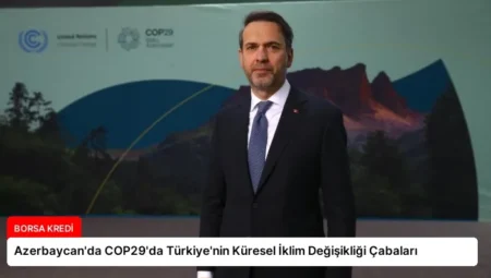 Azerbaycan’da COP29’da Türkiye’nin Küresel İklim Değişikliği Çabaları