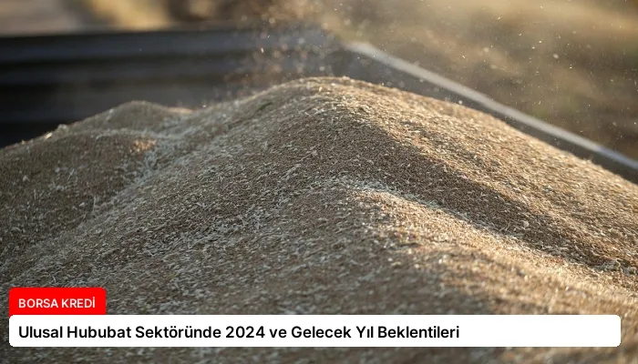 Ulusal Hububat Sektöründe 2024 ve Gelecek Yıl Beklentileri