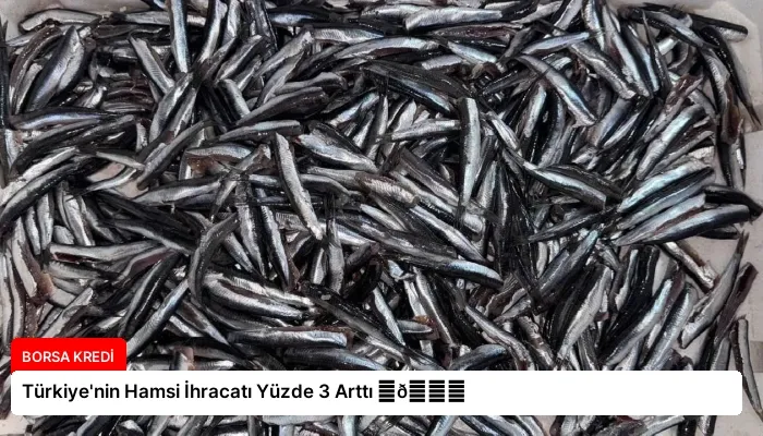 Türkiye’nin Hamsi İhracatı Yüzde 3 Arttı ⏬👇