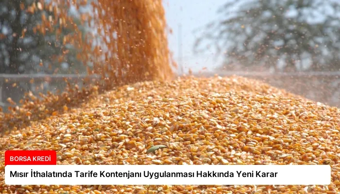 Mısır İthalatında Tarife Kontenjanı Uygulanması Hakkında Yeni Karar